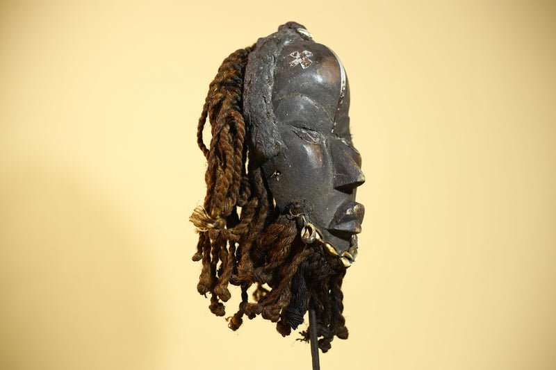 African Dan Mask Côte d'Ivoire Tribal Art Cowrie Fiber Beard Braided Hair-G6031