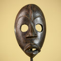 African Tribal Mask Hand Carved Wood Wall Mask Ethnographic Sculpture-G6322