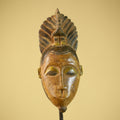 African Hand Carved Wood Mask Tribal Bird Crest Wall Decor Art-G6331